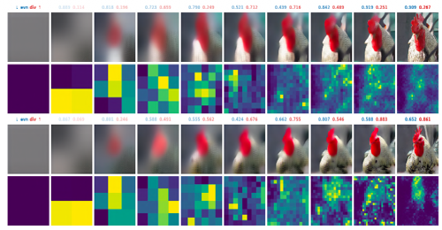 Progressive chicken generation and information-grounding attention maps